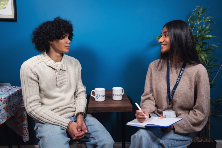 Blue Triangle Housing Board